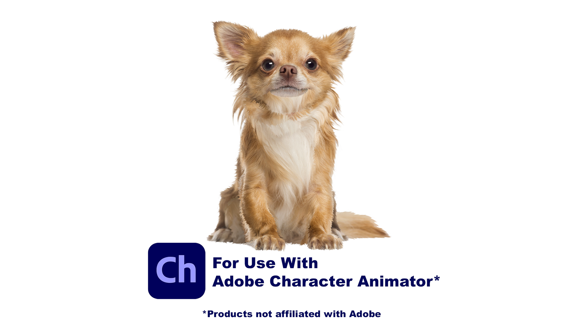 Chihuahua Puppet for Adobe Character Animator - SlipperyRock | A Full  Service Animation Studio